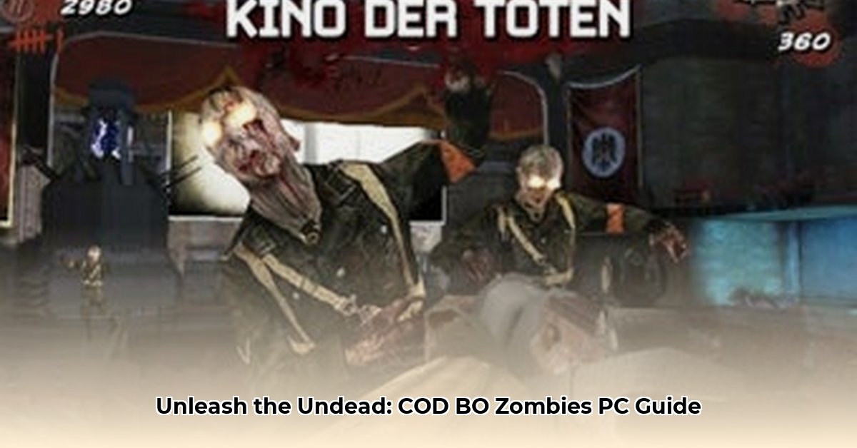 cod-bo-zombies-download